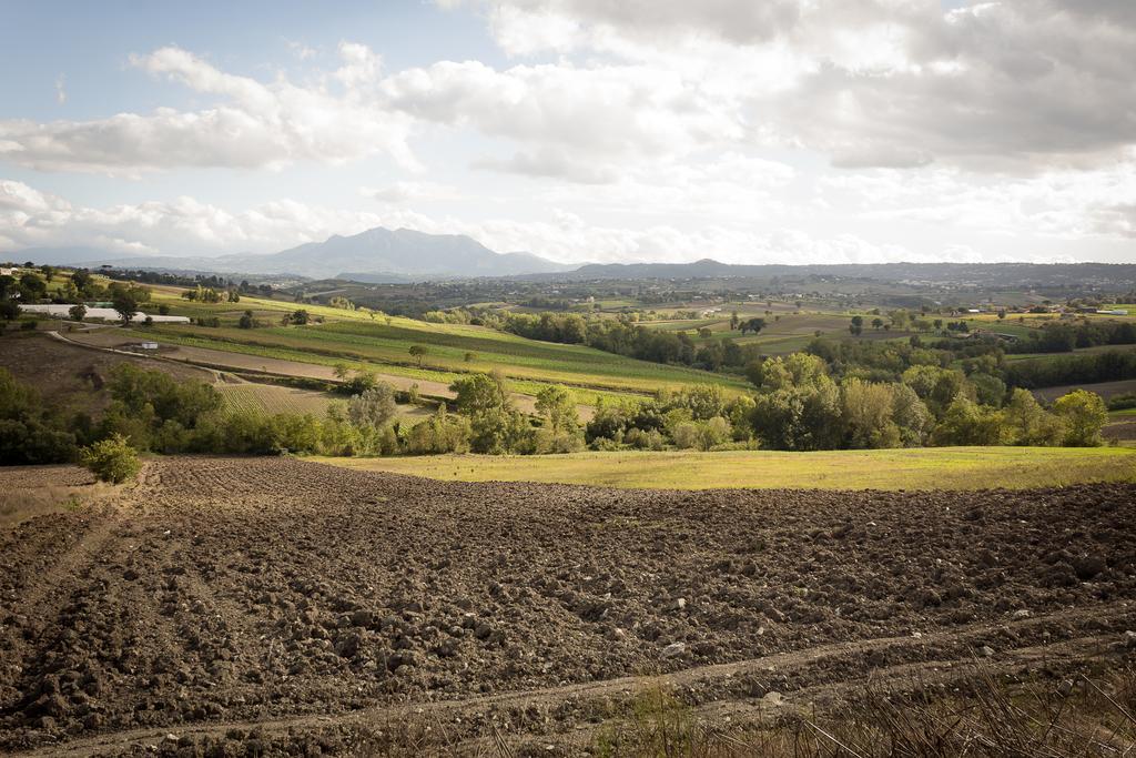 Agriturismo Villa Luisa Apice Экстерьер фото